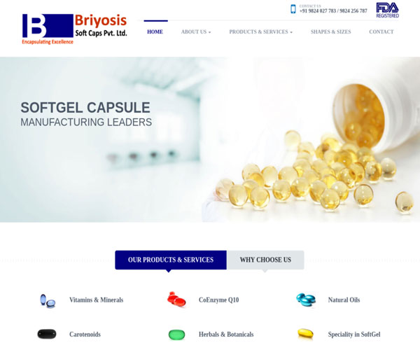 briyosis_portfolio.jpg